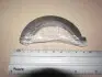 Полукольцо металлическое T1052ASTD TAIHO