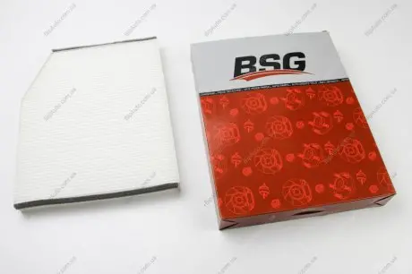 Фільтр салону Transit (V362/V363) 2.0/2.2 TDCi 12- BSG BSG30145019