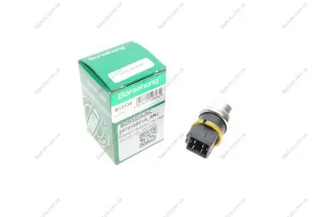 Датчик температури (WAHLER) Borsehung B13134