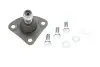 Опора кульова (передня) Fiat Ducato/Peugeot Boxer 06- KAPIMSAN 07-04611 0704611