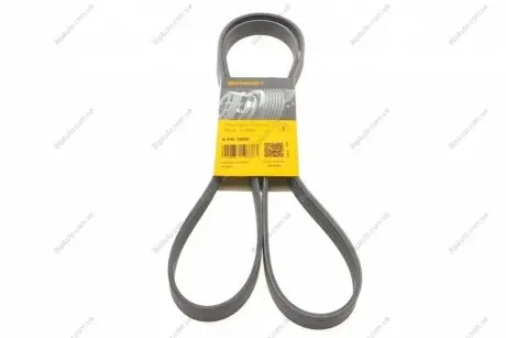 Поликлиновой ремень Contitech 6PK1800