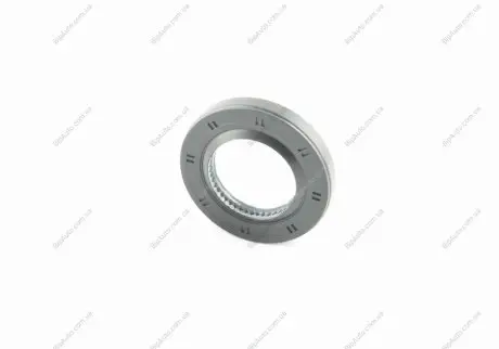 Уплотняющее кольцо VOLKSWAGEN VAG 09D409189 (фото 1)