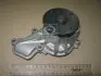 Насос водяной двигателя HYUNDAI MOBIS 251002E020 (фото 1)