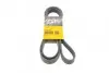 Ремень поликлиновой Conti CONTI 7PK2054