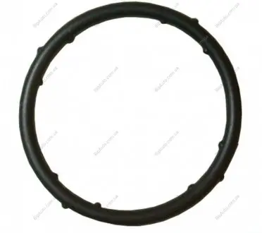 Прокладка флянця сист. охолодження Golf/Passat/A4/A6 -05 JP GROUP 1119606300 (фото 1)