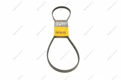 Ремень поликлиновый |0508|3 Contitech 4PK1170