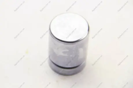 Поршень, корпус скобы тормоза SEINSA AUTOFREN D025518 (фото 1)