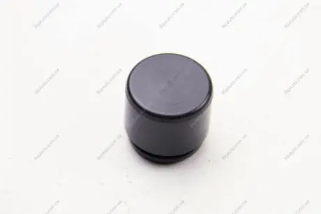 Поршень, корпус скоби гальма SEINSA AUTOFREN D025367