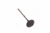 Клапан випускний Toyota Camry 01-06 RAV4 Avensis Lexus (вир-во Toyota) 1371528010