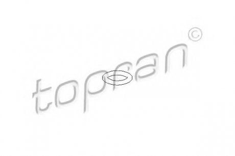 Уплотнительное кольцо, термовыключ TOPRAN / HANS PRIES 104529 (фото 1)