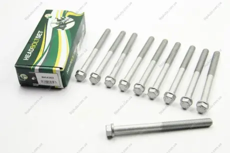 К-кт болтов ГБЦ VW LT 2.8D ATA/AGK BGA BK4362