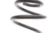 Пружина підвіски передня AUDI/SKODA LESJOFORS 4004237 (фото 2)