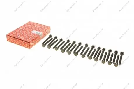 Болти головки блоку циліндрів (комплект) 820.075 ELRING 820075