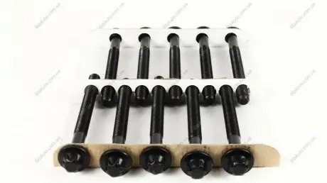 Болти головки блоку Master/Trafic 2.5dCi 00- (к-кт) AJUSA 81031600