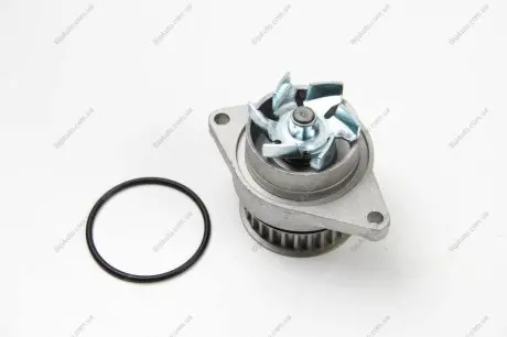 Водяний насос SALERI SIL PA1060