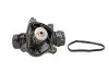 Термостат Bmw E46/60/65/66 Diesel TH6872.88J