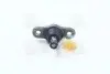 Опора кульова HYUNDAI TUCSON JM нижн. 0110-0075 GMB 01100075 (фото 1)