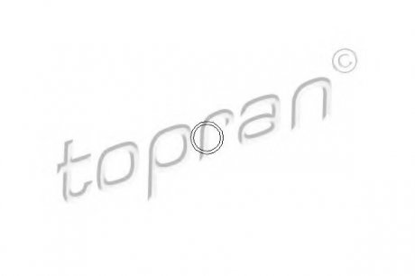 Кільце ущільнювача, клапанна форсунка TOPRAN / HANS PRIES 100678 (фото 1)