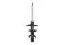 Амортизатор, передняя ось MAGNUM TECHNOLOGY AGW050MT