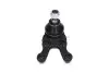 Несущий / направляющий шарнир KAVO PARTS SBJ-5506 SBJ5506