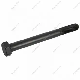 Болт важіля підвіски FEBI BILSTEIN 21481