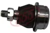 Опора кульова DAIHATSU TERIOS J200E LOW (вир-во 555 Японія) SBT082