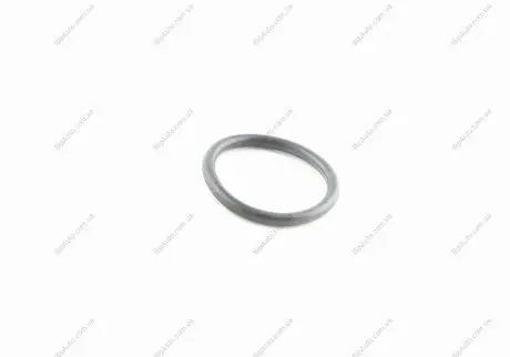 Уплотняющее кольцо VOLKSWAGEN VAG WHT001403