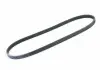 Пас клиновий VAG 038903137S