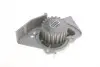 Комплект ГРМ + помпа Citroen Berlingo/Jumpy 2.0HDI 98- (25x141) VKMC 03246 SKF VKMC03246 (фото 2)