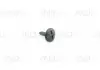 Гвинт установлюючий VOLKSWAGEN 7H0915450