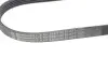 Поликлиновой ремень Contitech 5PK926ELAST (фото 3)