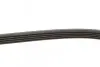 Пас поліклиновий Renault Megane I 1.6 96-03 (5PK12 CONTINENTAL Contitech 5PK1260 (фото 6)