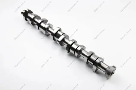 Распредвал T5 2.5TDI (AXD/AXE/BLK) 03- BGA CS9650