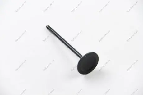 Впускний клапан BGA V998767