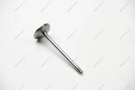 Впускний клапан BGA V996002