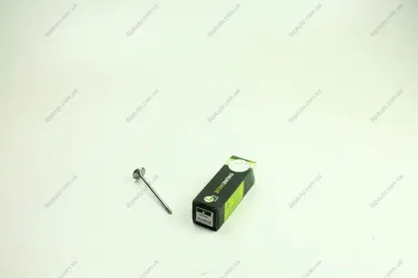 Впускний клапан BGA V991861