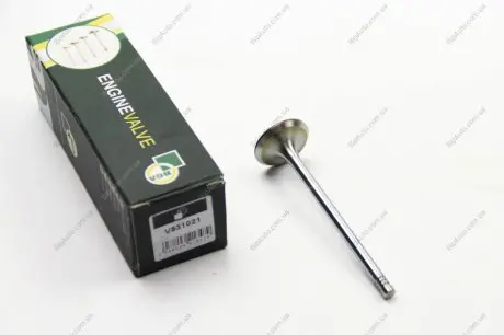 Впускний клапан BGA V531021