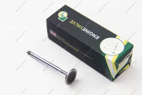 Впускной клапан BGA V165060