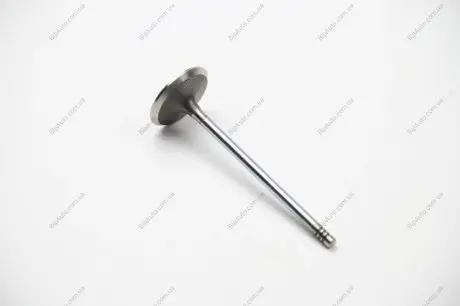 Впускной клапан BGA V165020
