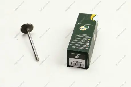 Впускной клапан BGA V029287