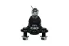 Несущий / направляющий шарнир KAVO PARTS SBJ2013