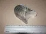 Вкладыш шатунный R037A050 TAIHO