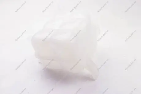 Бачок расширительный 00-06 BSG30-550-003 BSG BSG30550003 (фото 1)