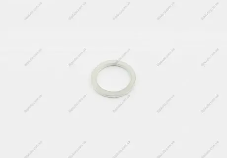 Уплотняющее кольцо VOLKSWAGEN VAG N0138487 (фото 1)