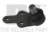 Шаровая опора перед. левая ниж. Ford C-MAX II, Focus III 1.0-2.0TDCi 12.10- 5042529