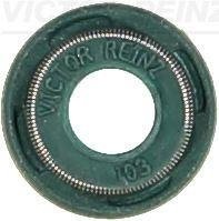 Уплотнительное кольцо, стержень кла VICTOR REINZ 705399100 (фото 1)