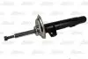 Амортизатор підвіски MAGNUM TECHNOLOGY AGB036MT