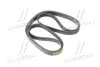 Ремень привода Actyon, Kyron, Rexton, Rodius 6PK2255 Ssang Yong, 6PK2255, K11BLTPK00201, SSANGYONG 6659970392 (фото 4)