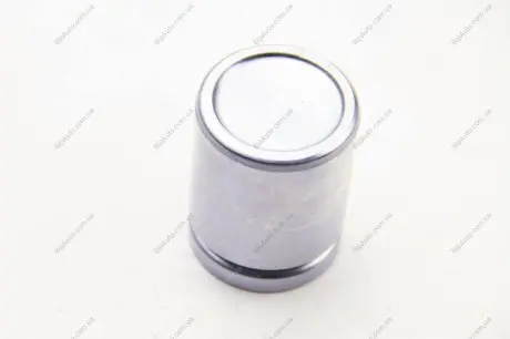 Поршенёк тормозного суппорта SEINSA AUTOFREN D025646