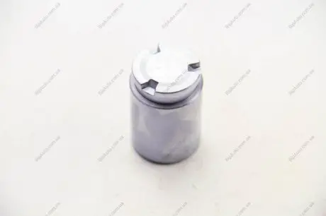 Поршенёк тормозного суппорта SEINSA AUTOFREN D025620
